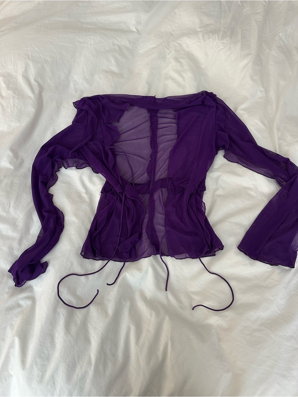 Purple sheer ruffle top